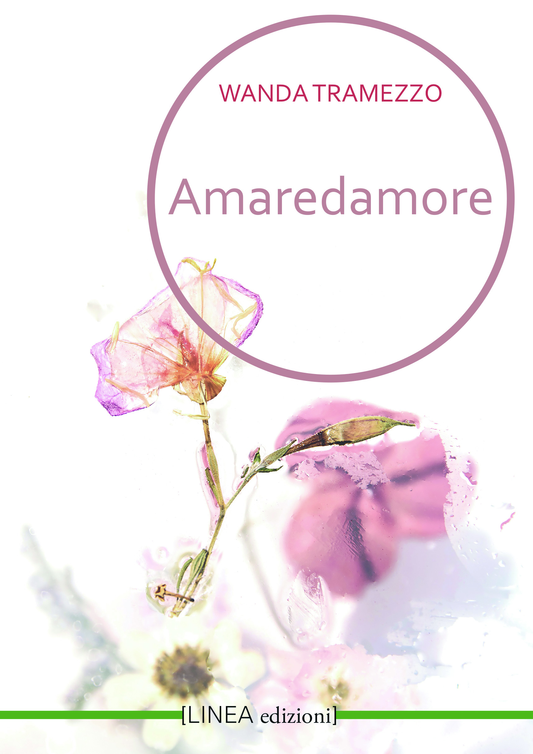 Solo copertina Amaredamore.indd